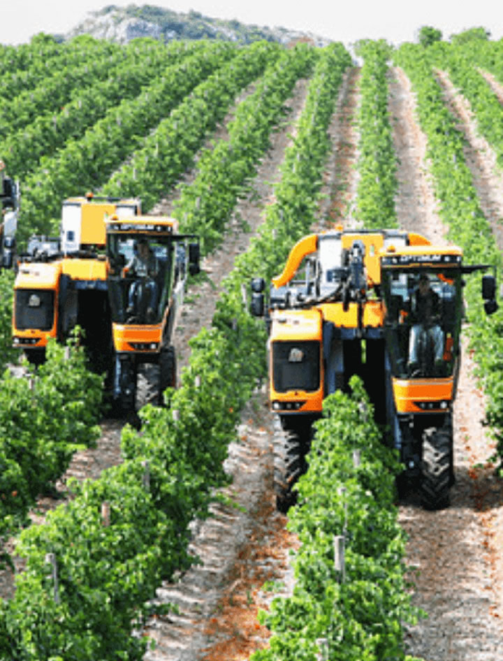 Agriculture and Agro-Allied Balyak Business Solutions